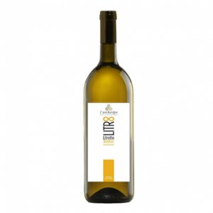 L’archetipo Puglia Bianco I.G.P. Litrotto Bianco 2023 1 Litro