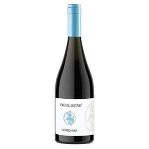 Vigne Irpine – Falanghina Irpinia DOP 2022