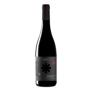 Montepulciano Tenuta Secolo IX