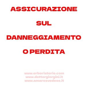 ASSICURAZIONE SUL DANNEGGIAMENTO E/O PERDITA NEL TRASPORTO