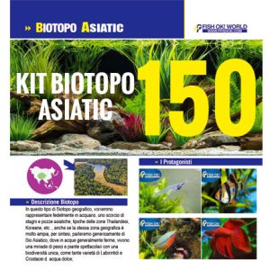 (KITBIOASIATIC150LUX) KIT ARREDO BIOTOPO ASIATIC 150LUX