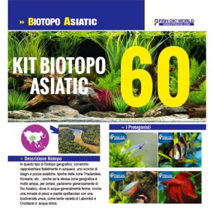 (KITBIOASIATIC60) KIT ARREDO BIOTOPO ASIATIC 80